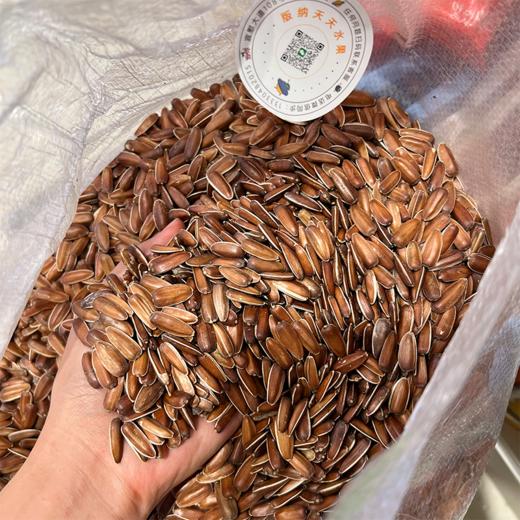 红瓜子  新鲜生瓜子 好吃不上火 商品图0