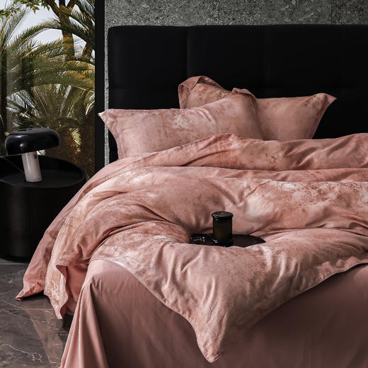 60支全棉磨毛印花四件套 商品图5