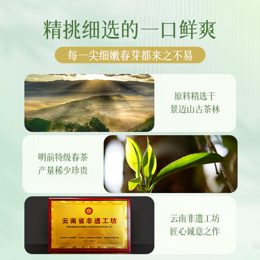 澜沧古茶2025年景迈春蕊云南明前春茶普洱茶生茶60g 商品图2