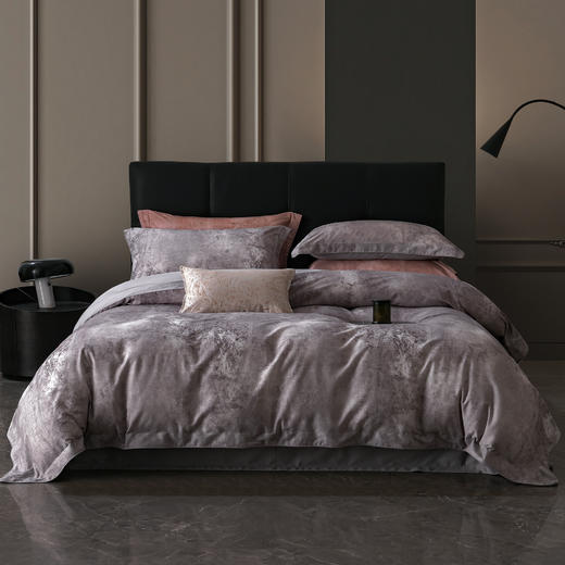 60支全棉磨毛印花四件套 商品图1