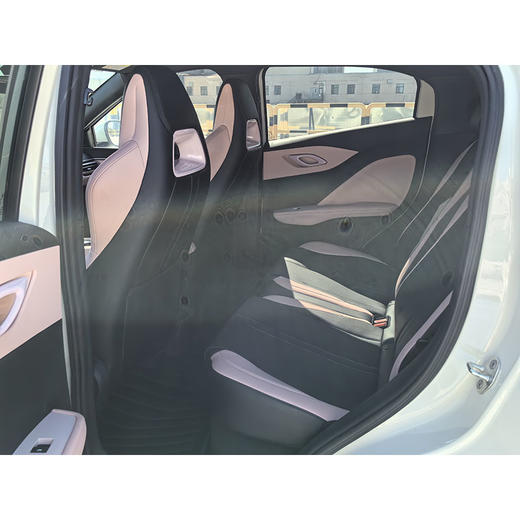 比亚迪 海鸥 305km 活力版【长租-北京】 商品图9