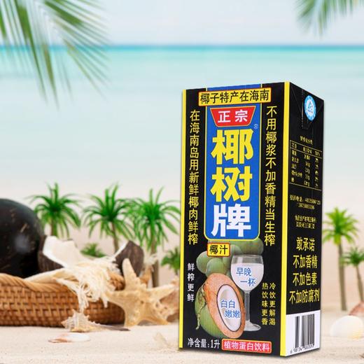 椰树椰汁植物蛋白饮料 1L 商品图2