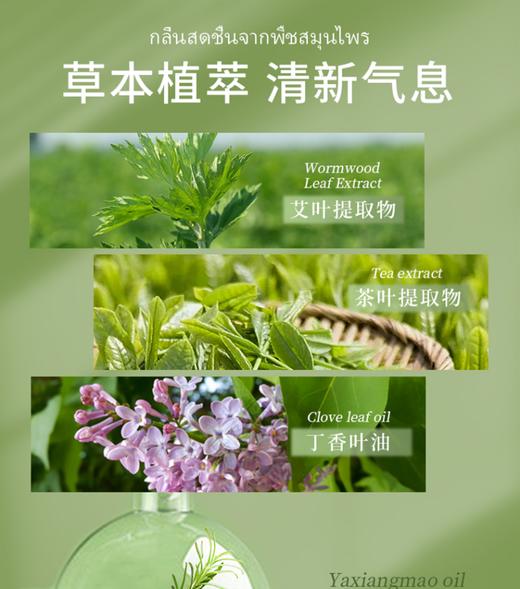 ⁵泰国溯源：19.9元3瓶【香茅膏】蚊虫叮咬 头晕晕车等 13g一瓶 YY05-QTT-SFL 商品图2