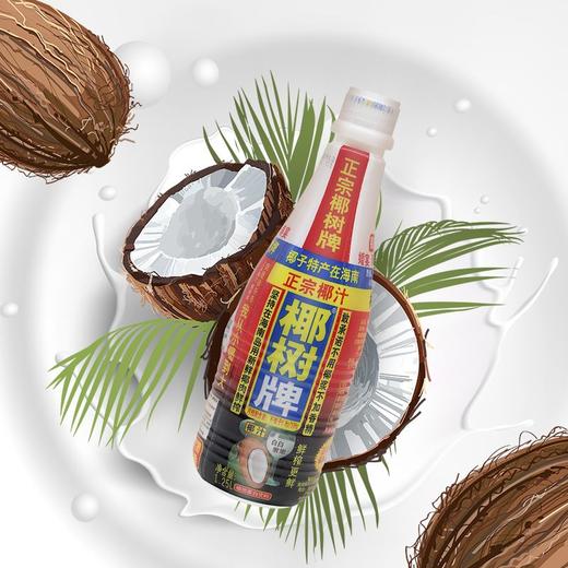 椰树椰汁植物蛋白饮料 1.25L 商品图2
