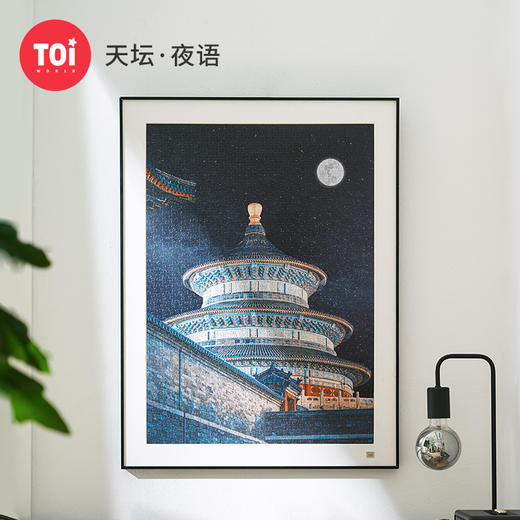TOi图益-潮玩拼图摄影系列-天坛·夜语-1000片-分包款 商品图0