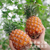 艾格吃饱了 海南金钻凤梨肉质不柴无渣 商品缩略图2