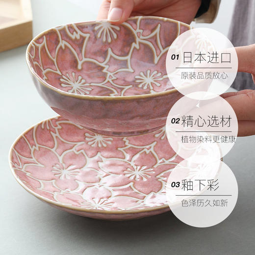 日本进口西庵窑耀变樱花碗盘套装 商品图1