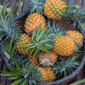 广东徐闻菠萝 3斤装