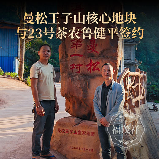 2025年春茶【曼松贡茶】过口不忘的曼松奇香 严选曼松23号向阳核心地块古树 2025年春茶普洱茶生茶曼松王子山纯料古树357g饼茶 一饼一码 商品图2