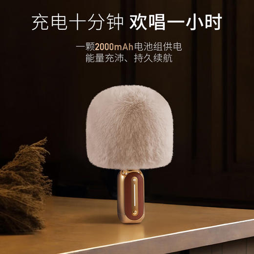 唱吧 小巨蛋麦克风G5星河 手机K歌无线麦克风 话筒音响一体 商品图7
