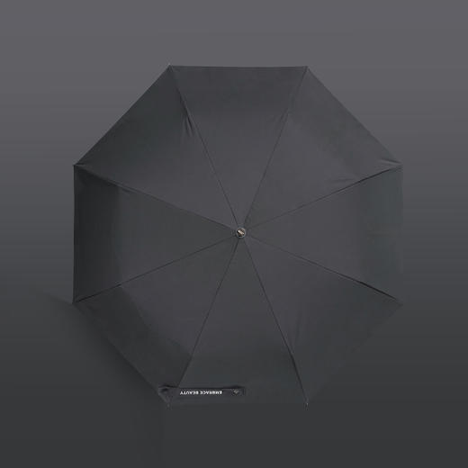 又见美物丨 EB1Z08B 回彩自动三折雨伞（曜石黑） 商品图2