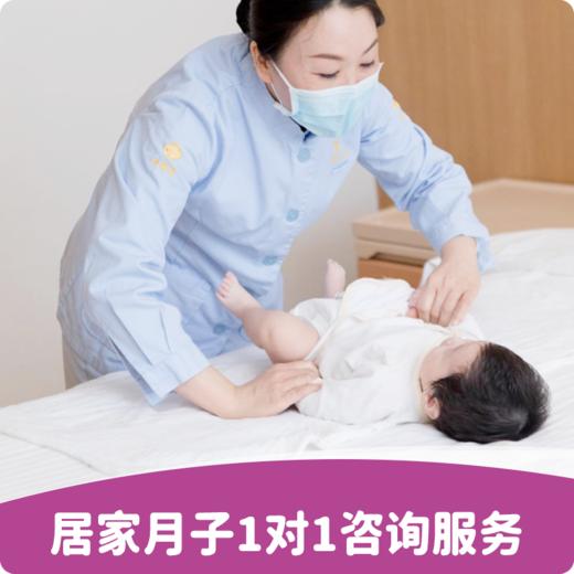 居家月子1对1咨询服务 商品图0
