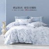【水星家纺】60支全棉床上四件套抗菌套件朝颜日暮高级感床品 商品缩略图0