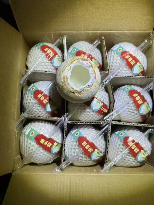 奶香椰皇（9个装） 商品图1