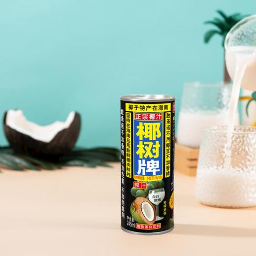 椰树椰汁植物蛋白饮料 245ml 商品图1
