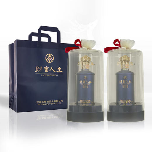 【年中大促】五粮液股份 财富人生 蓝韵 52度 浓香型 500ml x6 商品图3