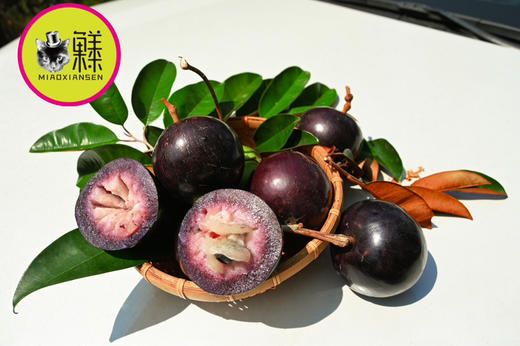 奇珍异果～海南牛奶果（6-8枚装）顺丰包邮 商品图5