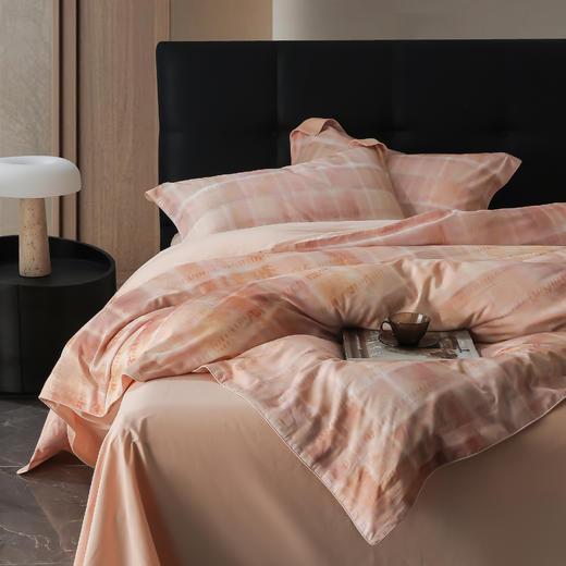 60支全棉磨毛印花四件套 商品图10