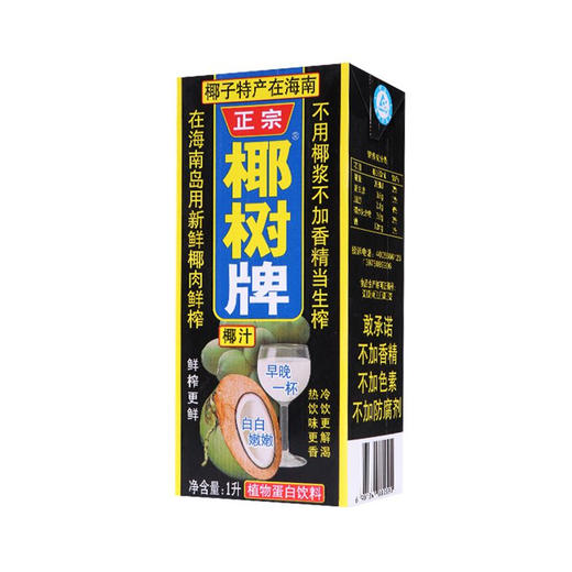 椰树椰汁植物蛋白饮料 1L 商品图0