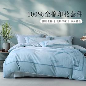 百丽丝家纺全棉简约舒适印花四件套清竹晚韵