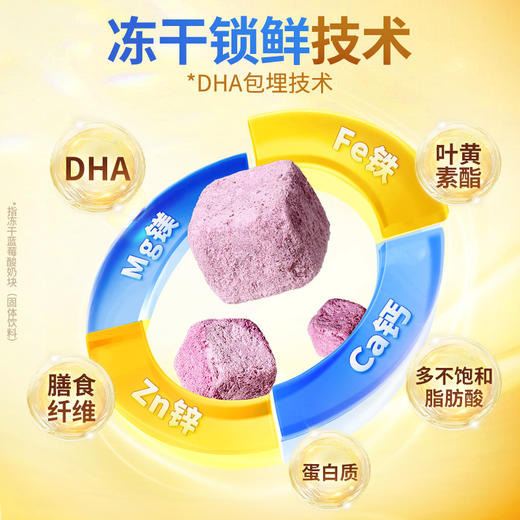 【包邮】每日坚果 混合果仁蜜饯水果干 750g （4+3+3/盒装）学生款 商品图4