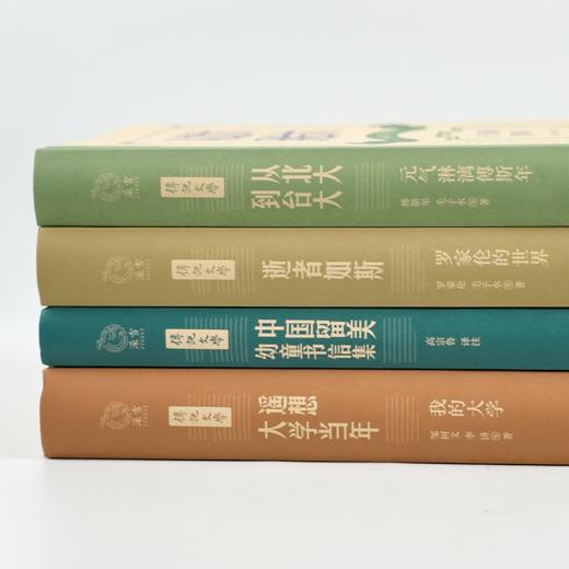 传记文学书系（4册）：中国近现代史宝库 商品图2