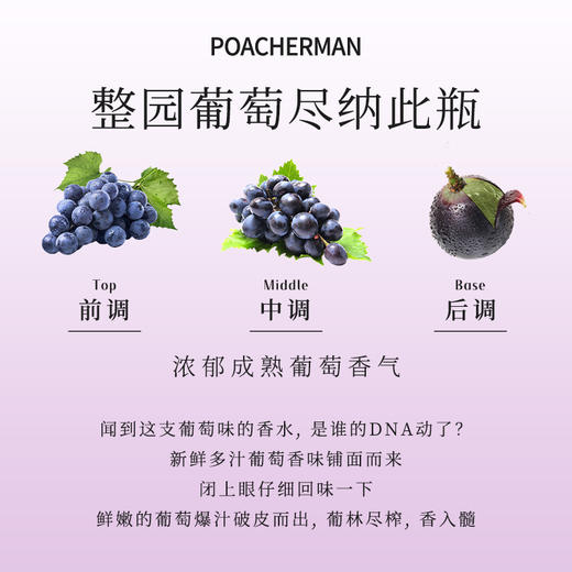 葡萄香水 GRAPE葡萄味清新自然水果味甜美持久淡香男女士香水香氛 商品图2