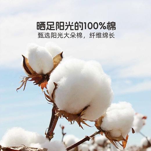 水星家纺kids系列母婴A类抗菌全棉俏皮熊猫床单/床笠款三/四件套 商品图1