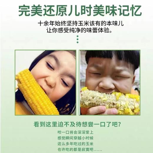 出口级有机速冻雪山玉米# 糯甜玉米味十足，来自长白山黑土地，非真空极速冷冻鲜度高 商品图6