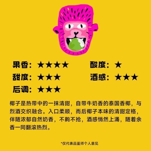 【新品】果立方热烈果汁酒芒果味椰子味15度300mL热带风味低度酒 商品图5