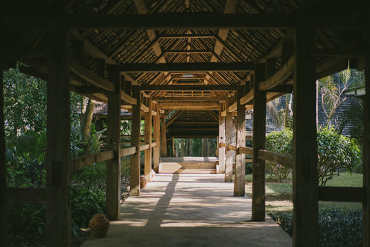 柏联普洱品茗体验| 98元/位 商品图2