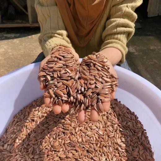 红瓜子  新鲜生瓜子 好吃不上火 商品图2