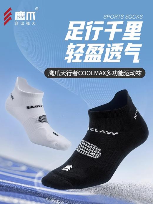 鹰爪天行者弹力coolmax透气男士袜子春夏季船袜短袜 商品图4