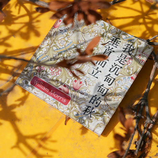 《莫里斯传》周边冰箱贴全套5个 春夏秋冬爱 商品图5