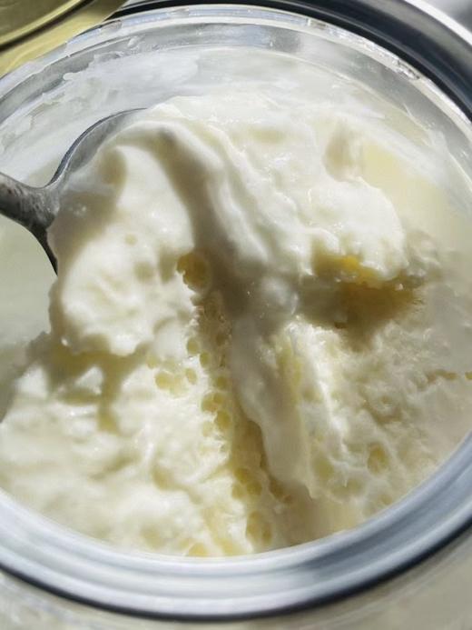 必吃新疆美味！马三三【奶皮子酸奶】浓厚香醇 生牛乳与乳酸菌自然发酵 商品图5