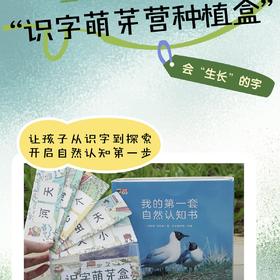 三个小小人识字萌芽营种植盒
