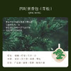 宋朝·四时景系列香包 商品缩略图12