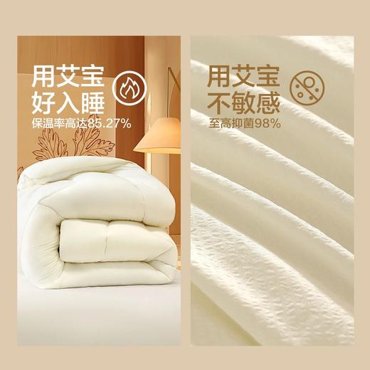 水星家纺A类裸睡品质艾宝抑菌四季被冬被子保暖被芯床上用品严选 商品图2