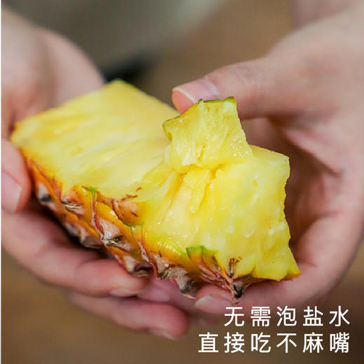 艾格吃饱了 海南金钻凤梨肉质不柴无渣 商品图1