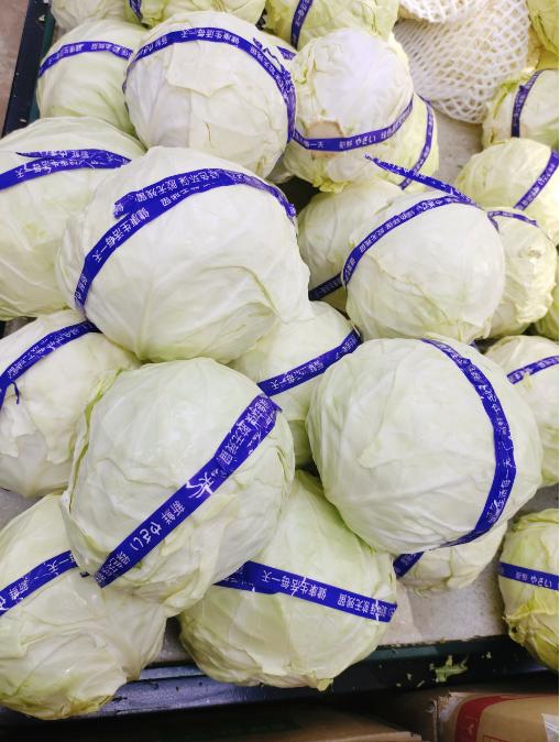 绿甘蓝一个 商品图0