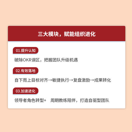 新质增长：OKR本土实战手册 企业团队绩效战略性思维提升实践指南 领导力高绩效工作模式效率提升 目标与关键结果工作法书籍 商品图1
