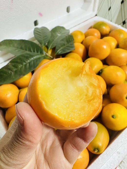 脆蜜金柑  霸王大果 商品图3