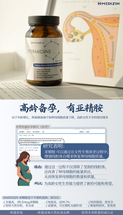 捷克H-Medizin亚精胺胶囊高纯度高含量60粒 减少掉发、K氧化衰老、补充jing力～ 商品图5