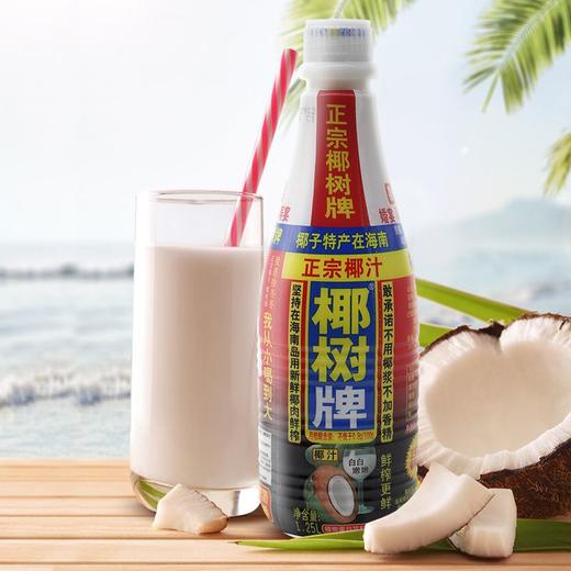 椰树椰汁植物蛋白饮料 1.25L 商品图1