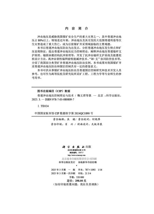 巷道冲击地压控制理论与技术 商品图2