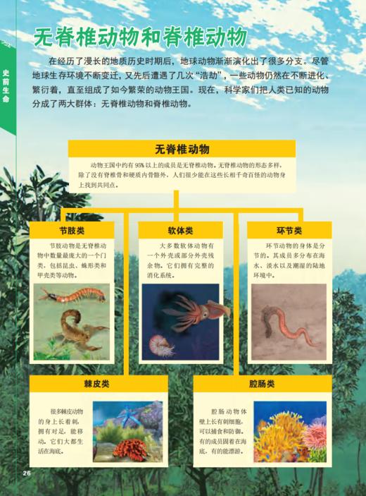 《史前动物大百科》 商品图10
