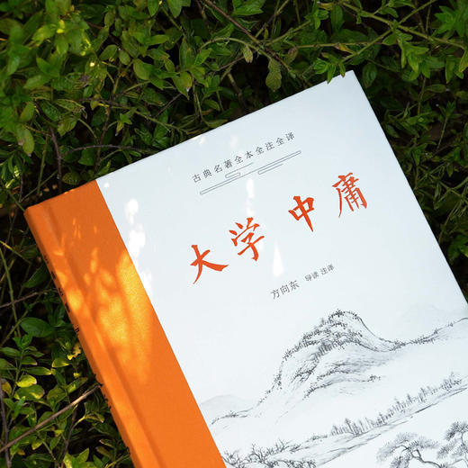 古典名著全本全注全译：大学·中庸 商品图3
