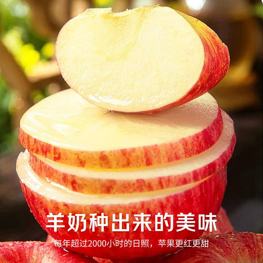 羊奶苹果，它来自山西万荣，当地果农坚持用新鲜羊奶、大豆蛋白营养液精心浇灌。咬上一口，瞬间被征服，它的果皮薄如蝉翼，果肉脆嫩，汁水丰沛，一口下去，爆汁感满满，甜度高达 17 度 商品图2