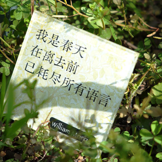 《莫里斯传》周边冰箱贴全套5个 春夏秋冬爱 商品图3