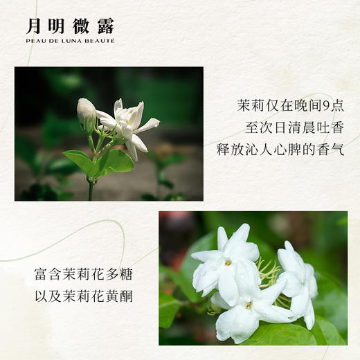 月明微露-小花茉莉精华保湿面膜盒装（4盒共20片） 商品图2